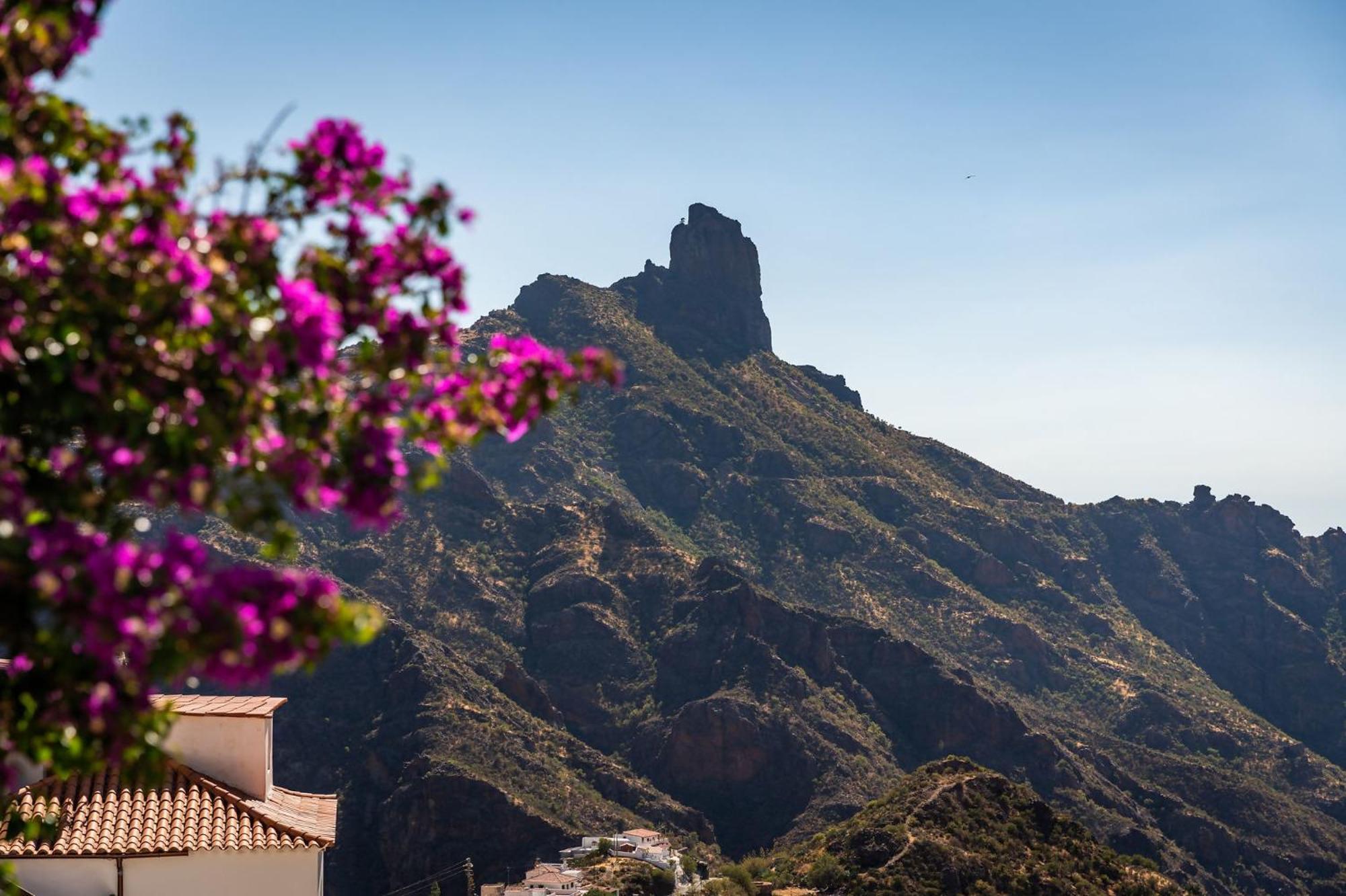 Macaronesia Lpa Suites Las Palmas de Gran Canaria Extérieur photo